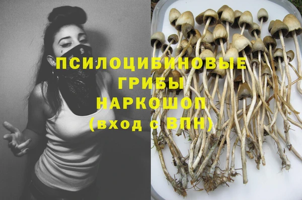 дурь Алзамай