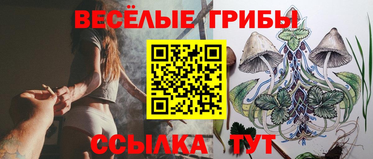 Псилоцибиновые грибы мицелий  Вход с VPN  Казань 