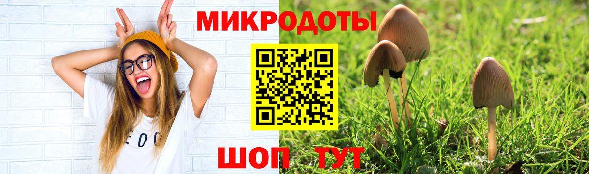 Галлюциногенные грибы прущие грибы Казань